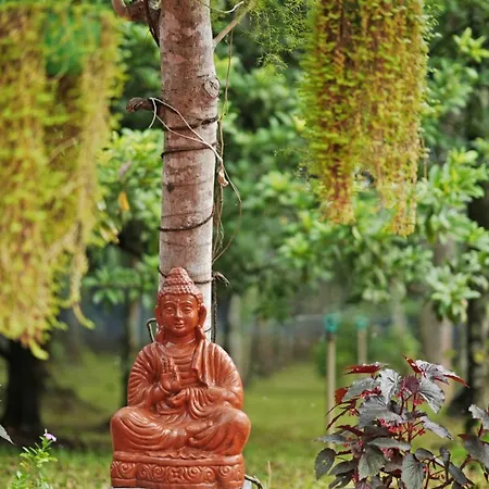 Serenity Villa And Treehouse Palakkad Exterior photo