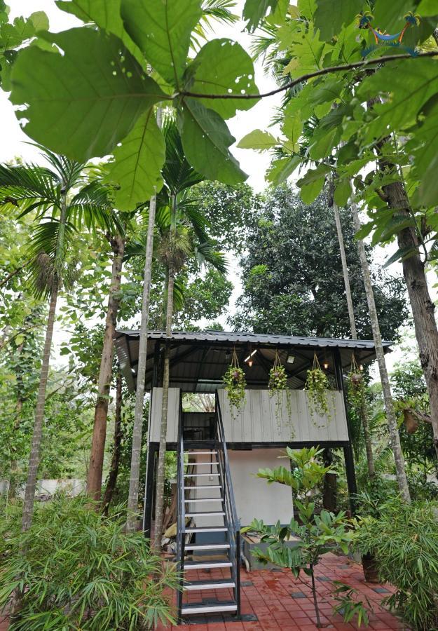 Serenity And Treehouse Villa
