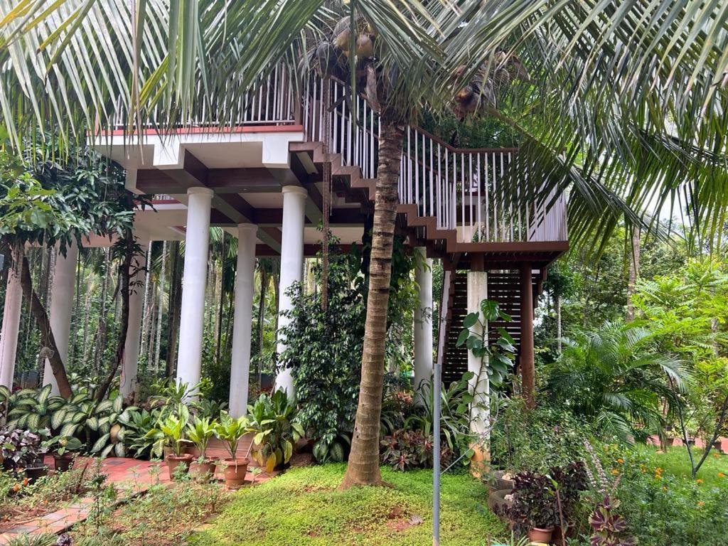 Serenity And Treehouse Villa