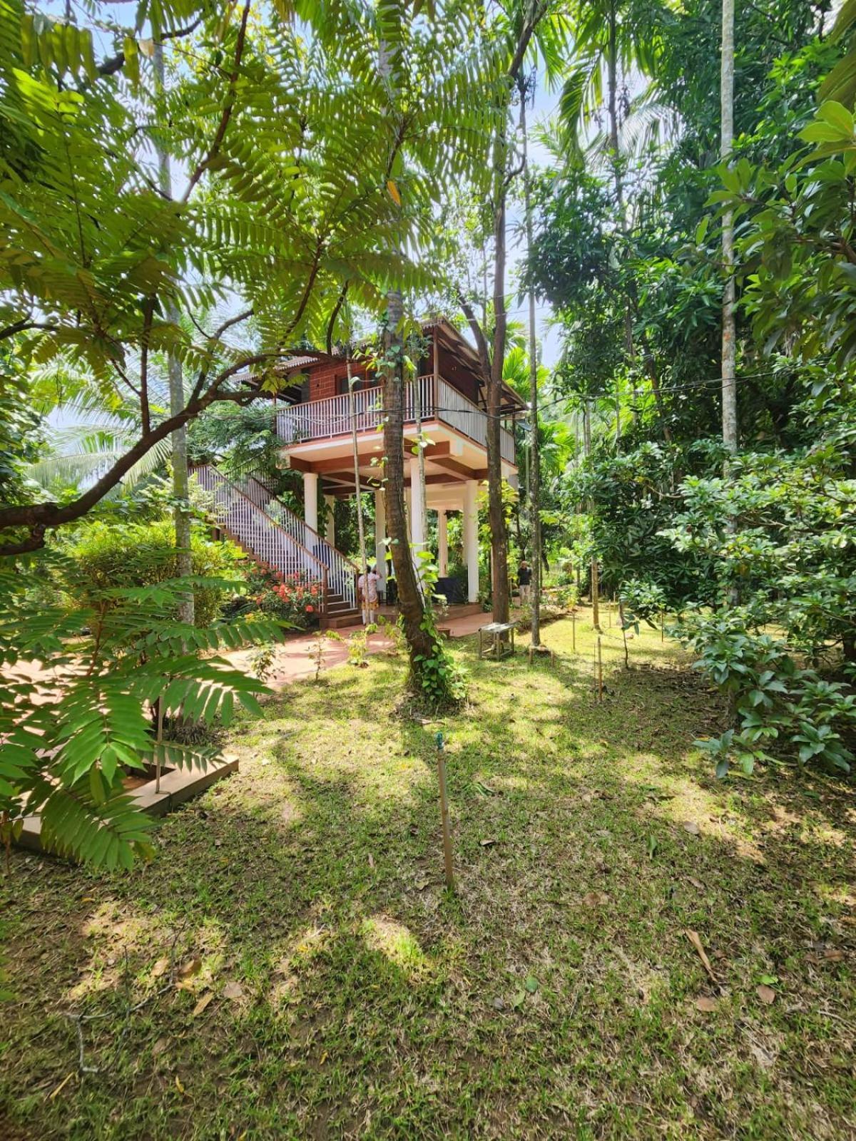 Villa Serenity And Treehouse *