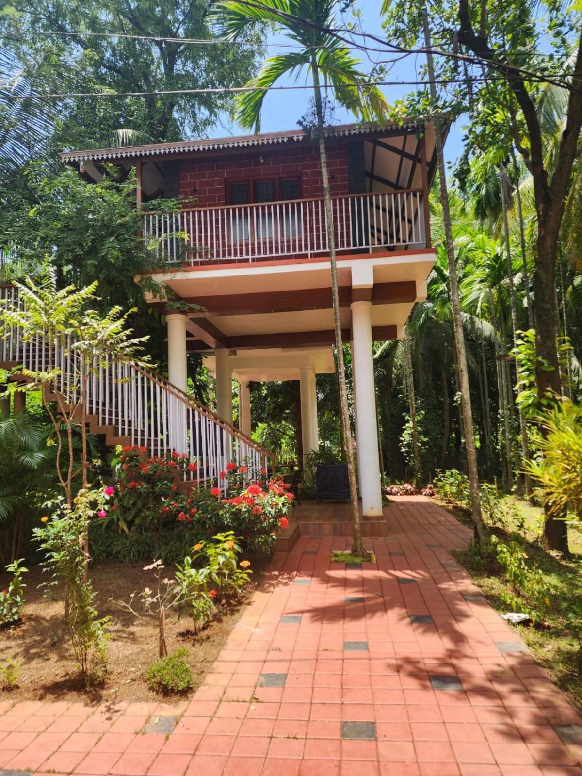 Serenity And Treehouse