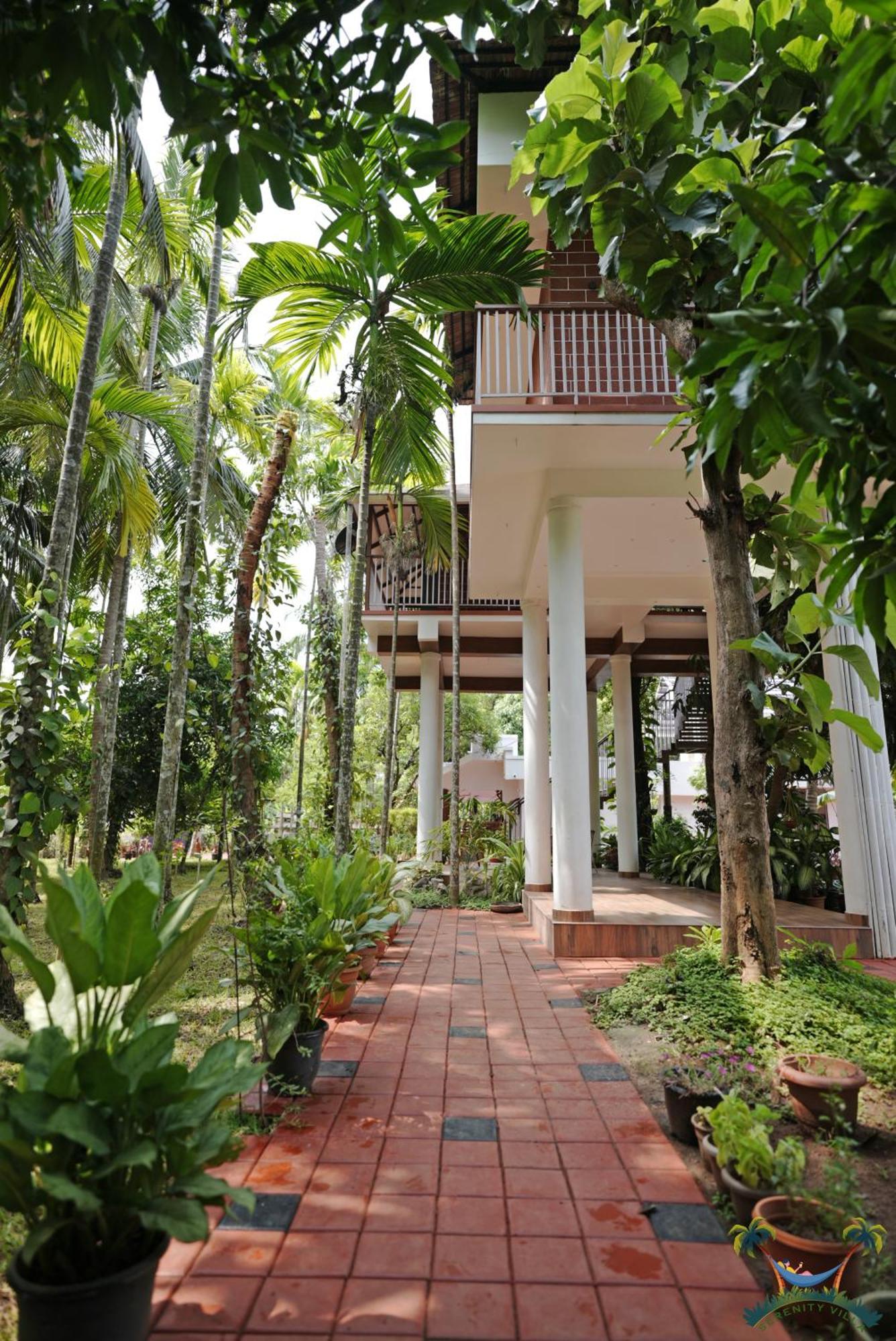 Villa Serenity And Treehouse